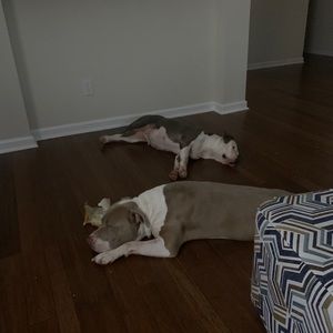 Meet your Posher, Travis